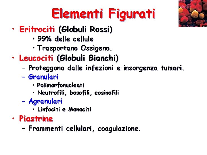 Elementi Figurati • Eritrociti (Globuli Rossi) • 99% delle cellule • Trasportano Ossigeno. • Elementi Figurati • Eritrociti (Globuli Rossi) • 99% delle cellule • Trasportano Ossigeno. •