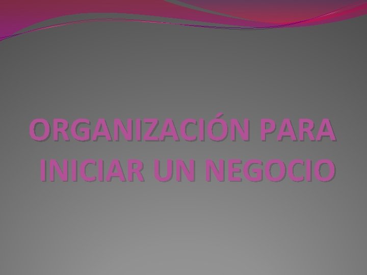 ORGANIZACIÓN PARA INICIAR UN NEGOCIO 