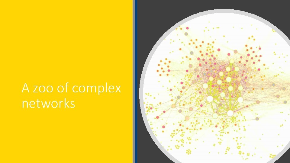 A zoo of complex networks 