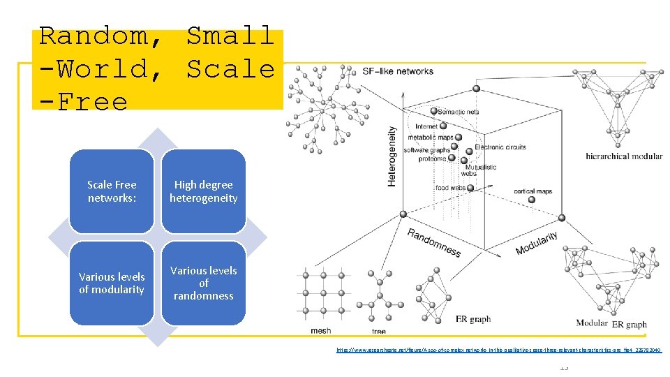 Random, Small -World, Scale -Free Scale Free networks: High degree heterogeneity Various levels of