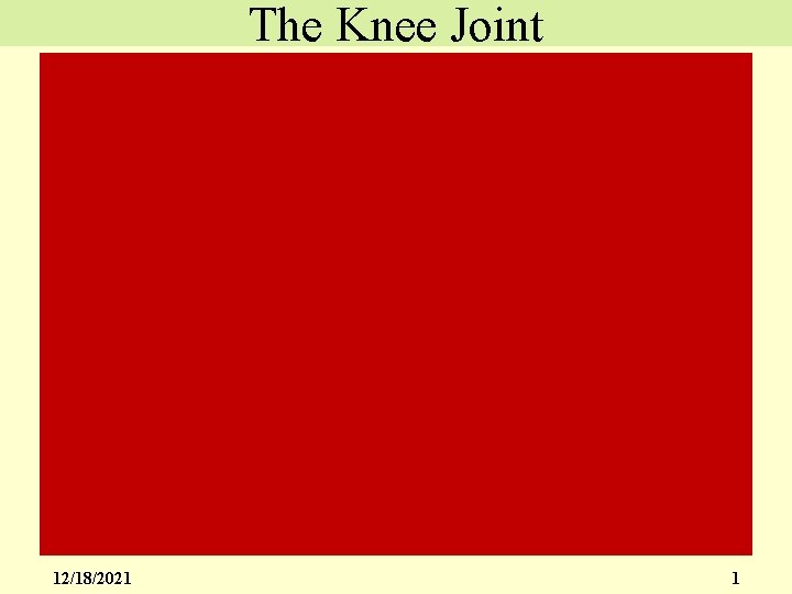 The Knee Joint 12/18/2021 1 
