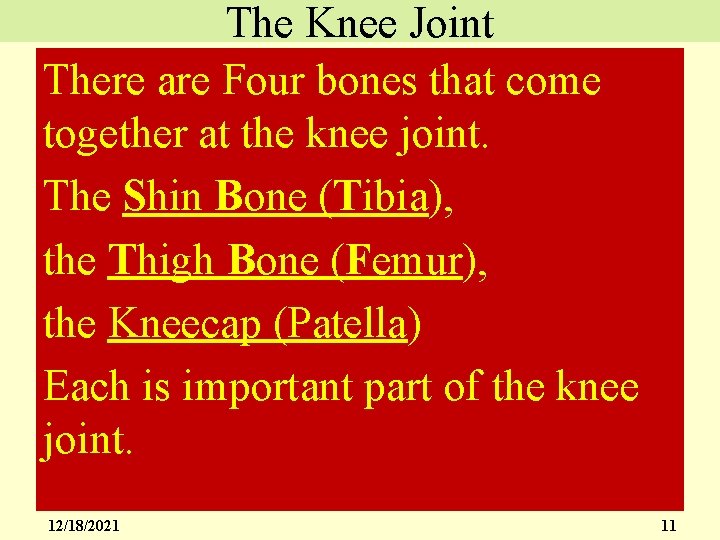 The Knee Joint There are Four bones that come together at the knee joint.