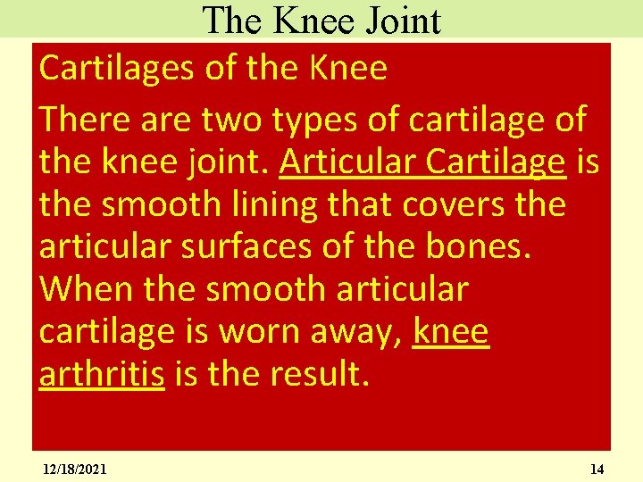 The Knee Joint Cartilages of the Knee There are two types of cartilage of