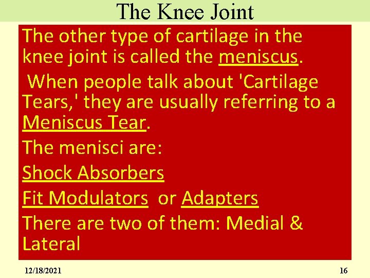 The Knee Joint The other type of cartilage in the knee joint is called