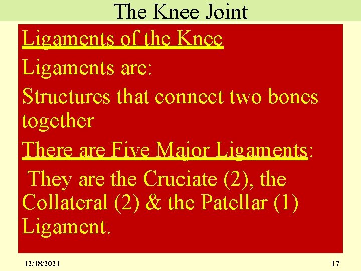 The Knee Joint Ligaments of the Knee Ligaments are: Structures that connect two bones