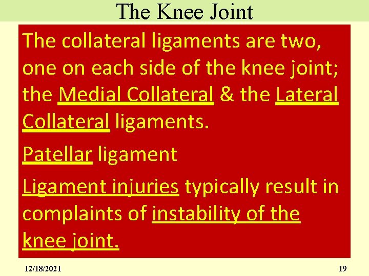 The Knee Joint The collateral ligaments are two, one on each side of the