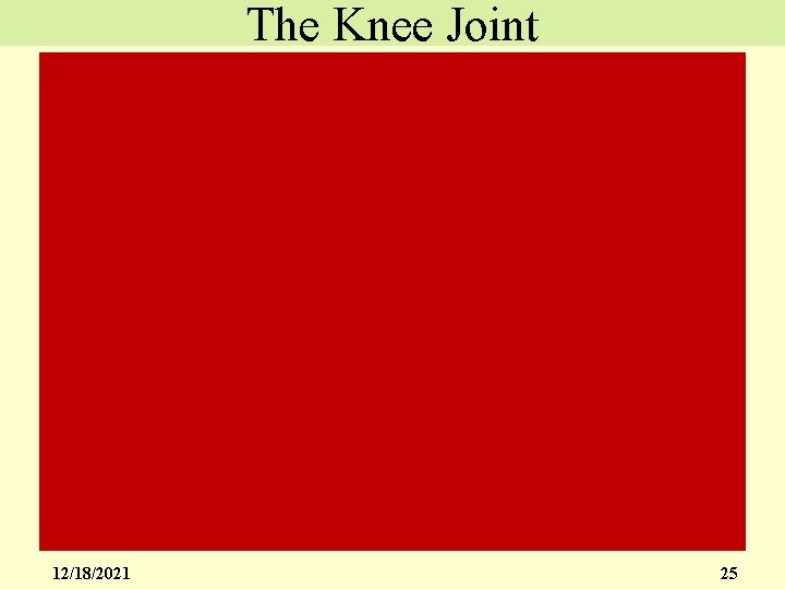 The Knee Joint 12/18/2021 25 