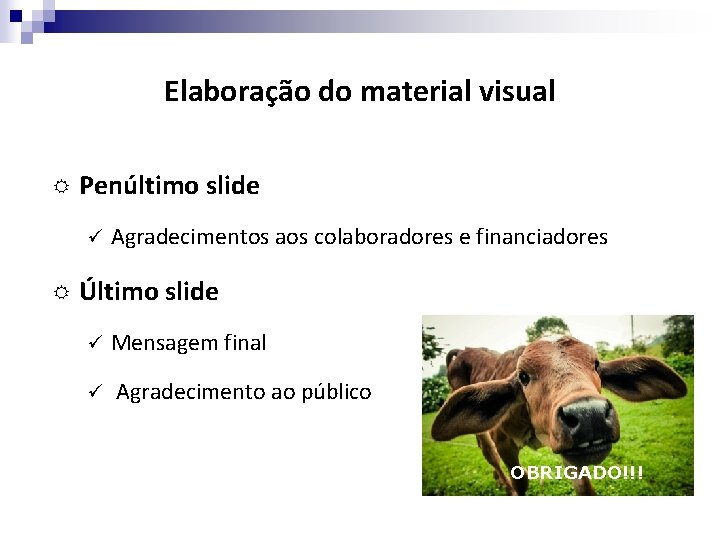 Elaboração do material visual Penúltimo slide ü Agradecimentos aos colaboradores e financiadores Último slide