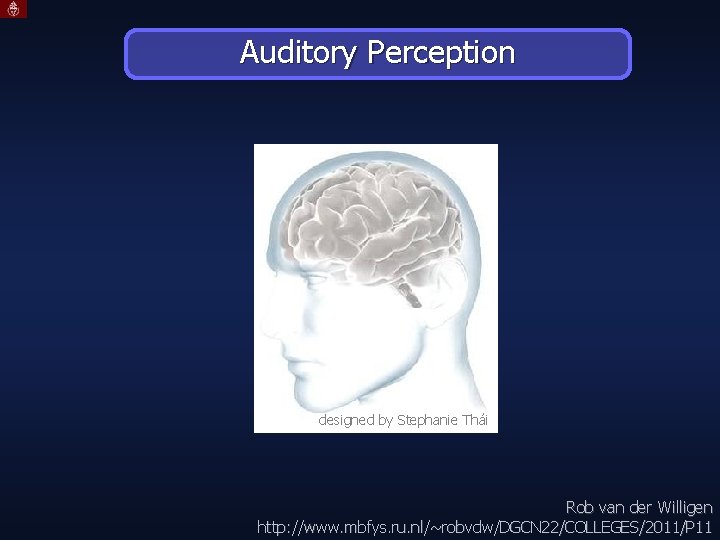 Auditory Perception designed by Stephanie Thái Rob van der Willigen http: //www. mbfys. ru.