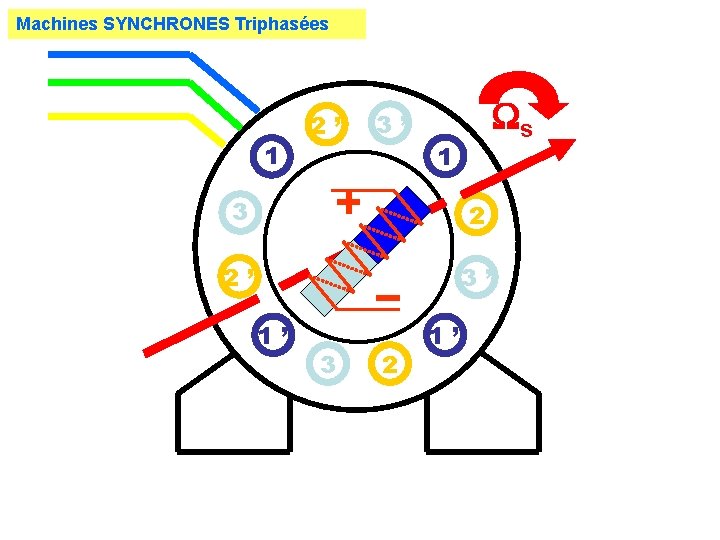Machines SYNCHRONES Triphasées 1 2’ 3’ s 1 3 2 2’ 3’ 1’ 3