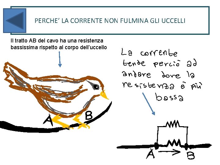 PERCHE’ LA CORRENTE NON FULMINA GLI UCCELLI Il tratto AB del cavo ha una