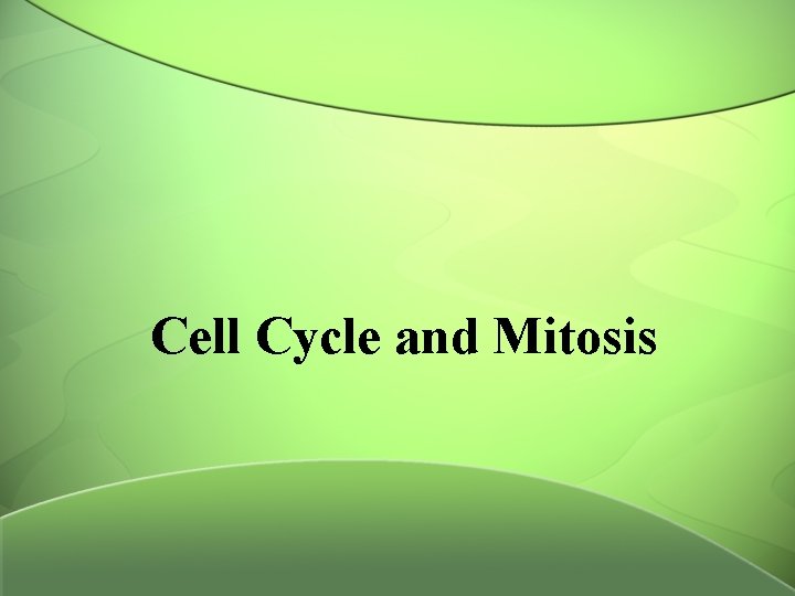 Cell Cycle and Mitosis 