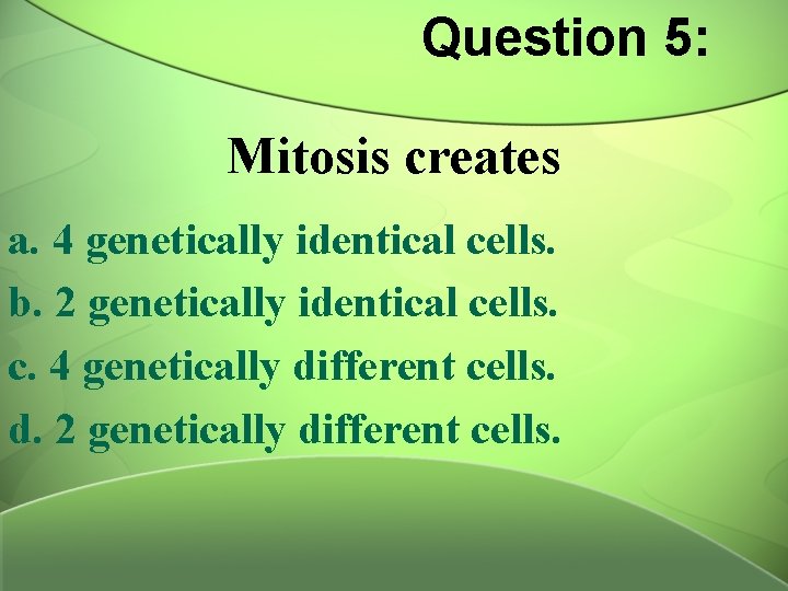 Question 5: Mitosis creates a. 4 genetically identical cells. b. 2 genetically identical cells.