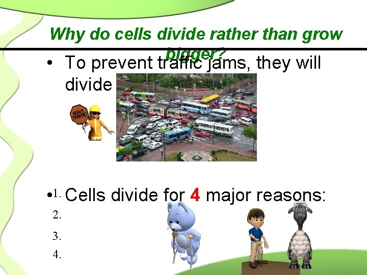Why do cells divide rather than grow bigger? • To prevent traffic jams, they