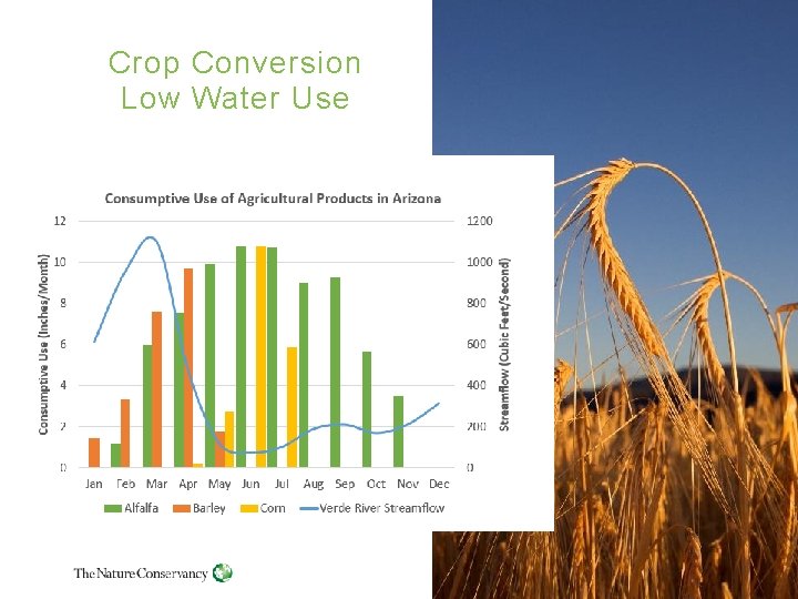 Crop Conversion Low Water Use 9 