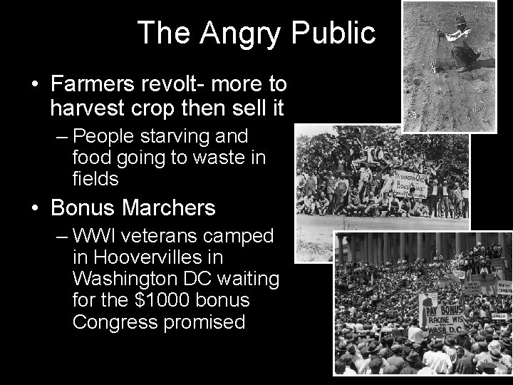 The Angry Public • Farmers revolt- more to harvest crop then sell it – The Angry Public • Farmers revolt- more to harvest crop then sell it –