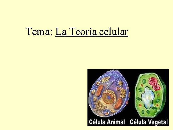 Tema: La Teoría celular 