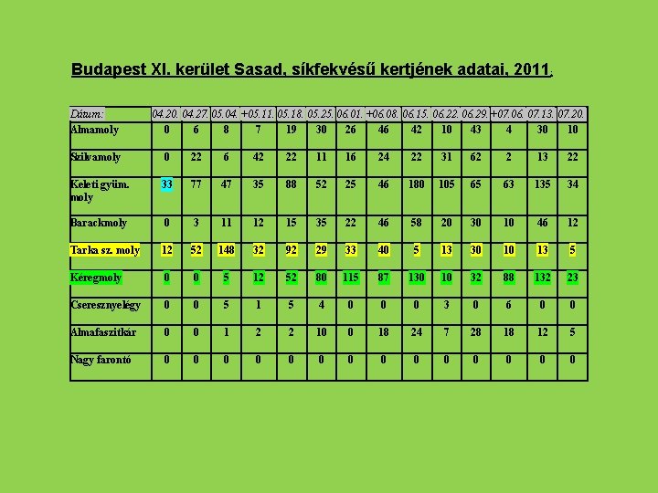 Budapest XI. kerület Sasad, síkfekvésű kertjének adatai, 2011: Dátum: Almamoly 04. 20. 04. 27.