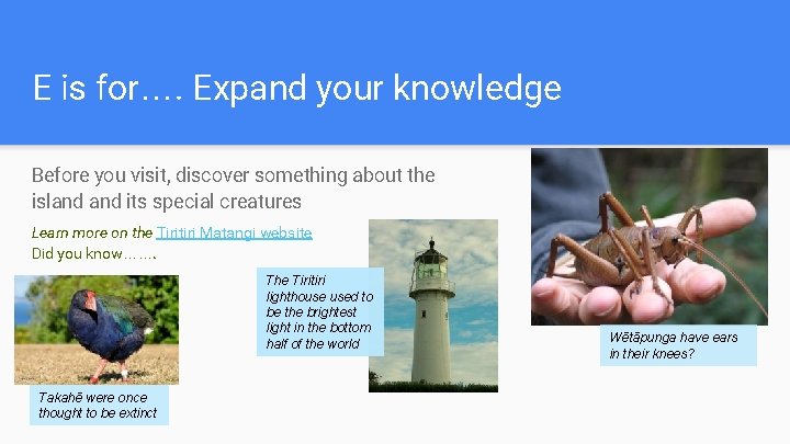E is for…. Expand your knowledge Before you visit, discover something about the island