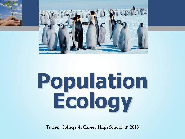 Population Ecology Turner College & Career High School 2018 