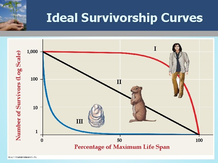 Number of Survivors (Log Scale) Ideal Survivorship Curves I 1, 000 100 II 10