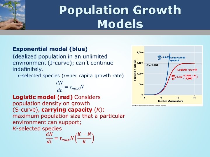 Population Growth Models 