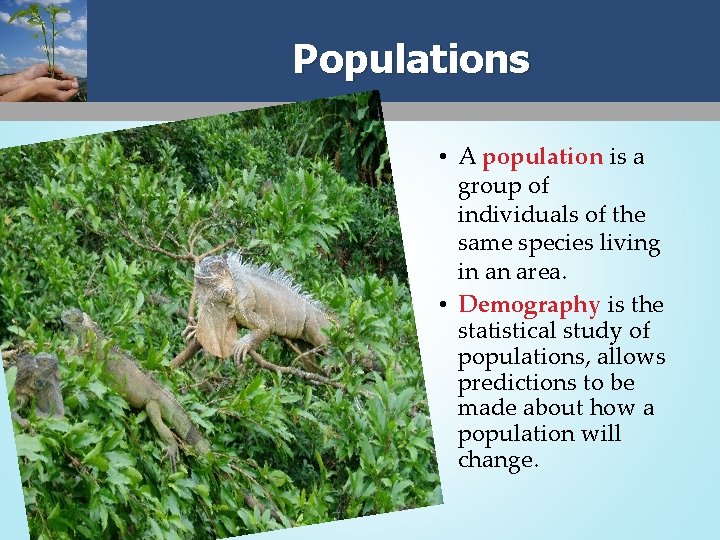 Populations • A population is a group of individuals of the same species living