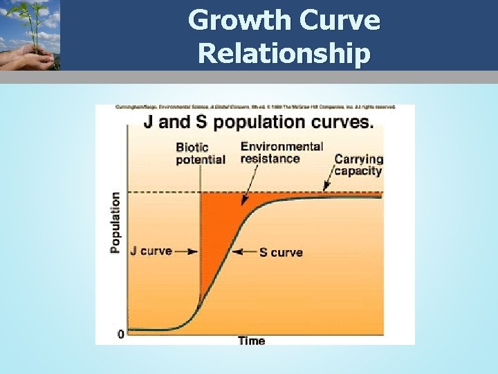 Growth Curve Relationship 