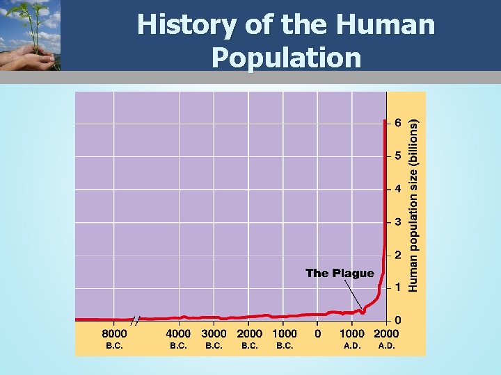 History of the Human Population 
