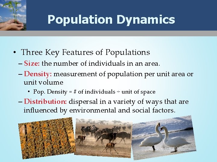 Population Dynamics • Three Key Features of Populations – Size: the number of individuals