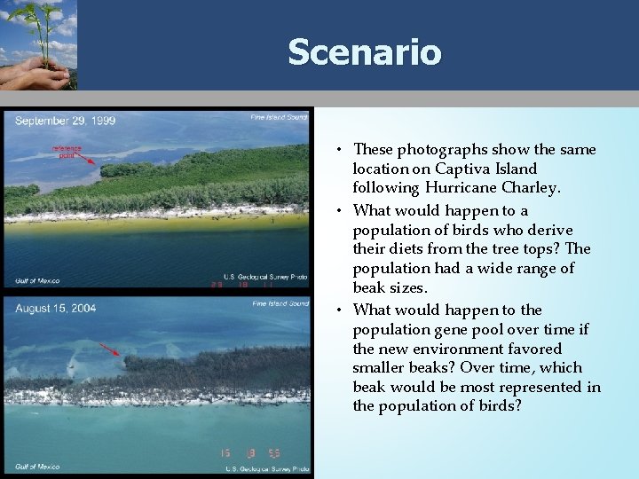 Scenario • These photographs show the same location on Captiva Island following Hurricane Charley.