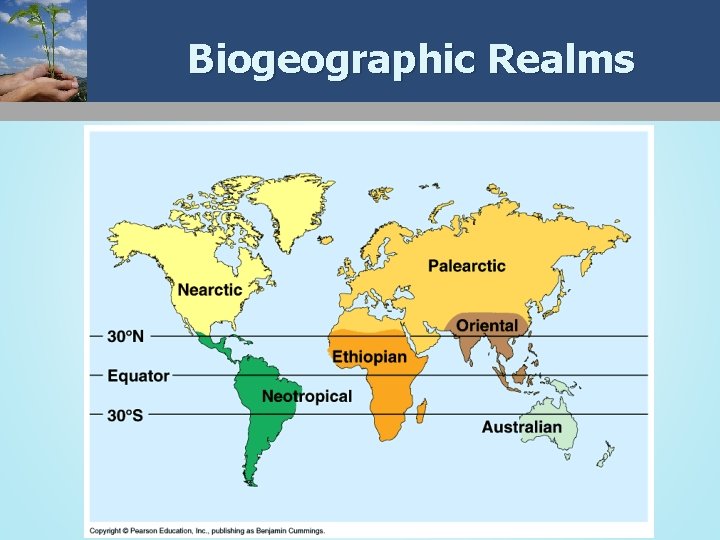 Biogeographic Realms 41 