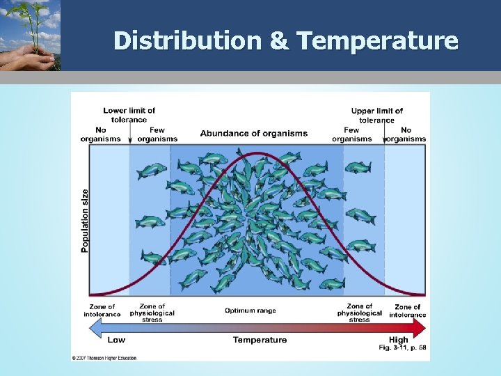 Distribution & Temperature 