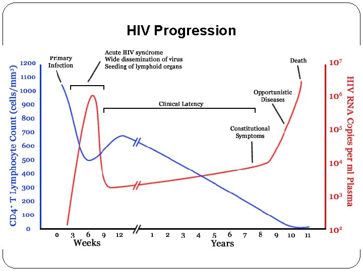 HIV Progression 