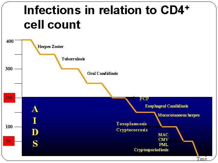 Infections in relation to CD 4+ cell count 400 Herpes Zoster Tuberculosis 300 Oral