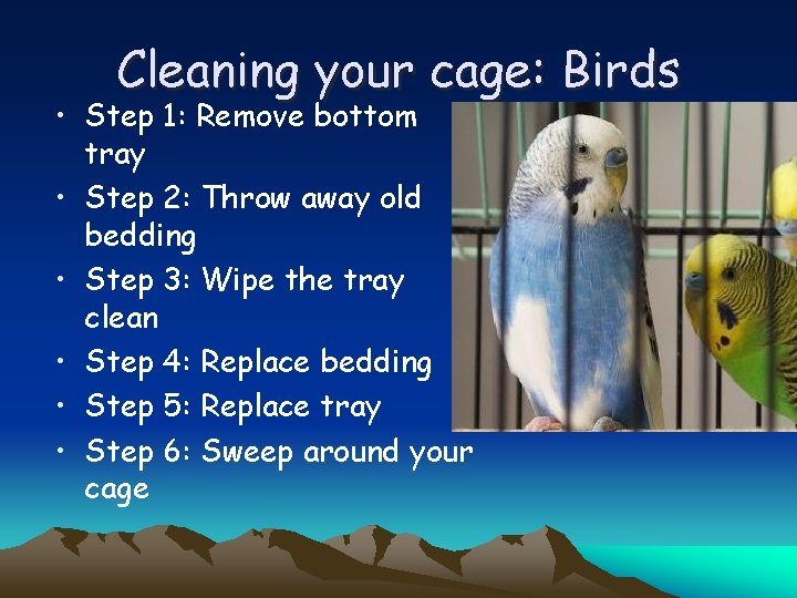 Cleaning your cage: Birds • Step 1: Remove bottom tray • Step 2: Throw