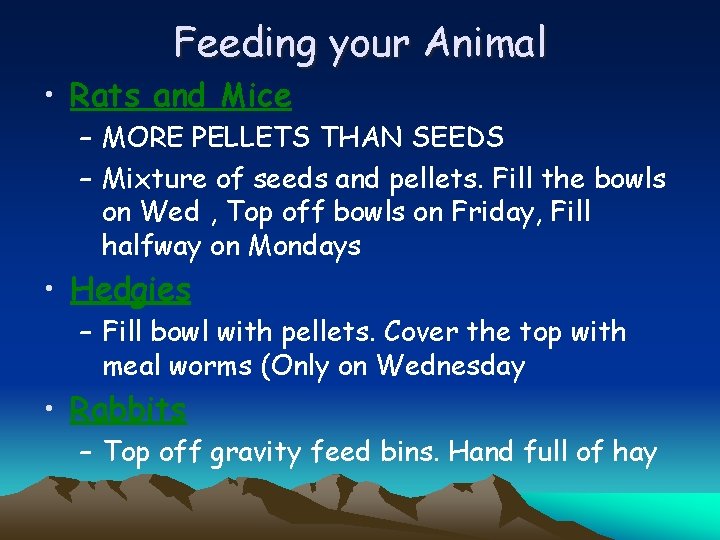 Feeding your Animal • Rats and Mice – MORE PELLETS THAN SEEDS – Mixture