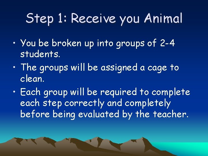 Step 1: Receive you Animal • You be broken up into groups of 2