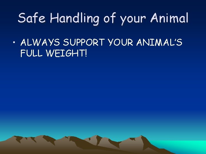 Safe Handling of your Animal • ALWAYS SUPPORT YOUR ANIMAL’S FULL WEIGHT! 