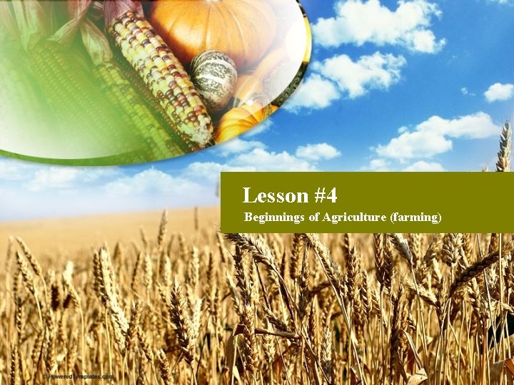 Lesson #4 Beginnings of Agriculture (farming) 
