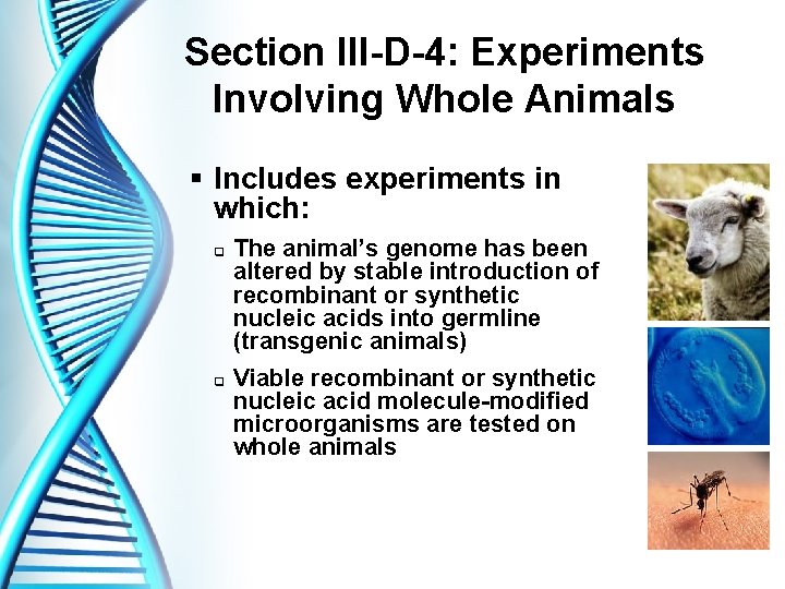 Section III-D-4: Experiments Involving Whole Animals § Includes experiments in which: q q The