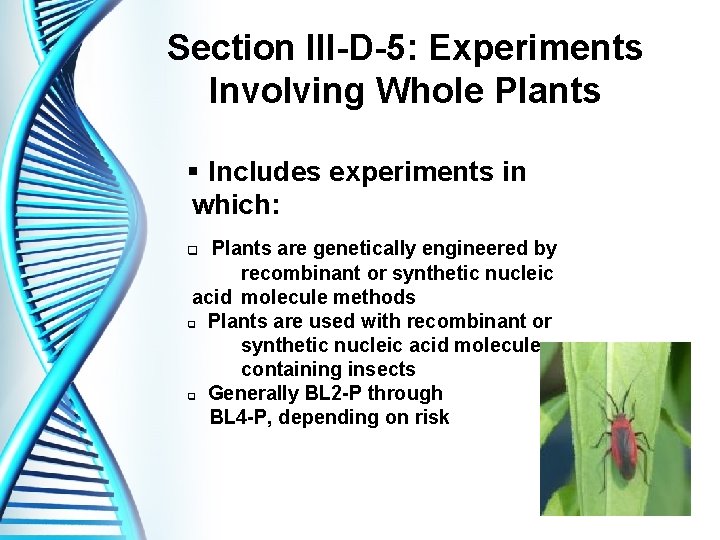 Section III-D-5: Experiments Involving Whole Plants § Includes experiments in which: Plants are genetically