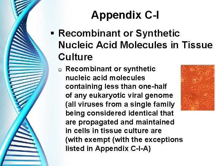 Appendix C-I § Recombinant or Synthetic Nucleic Acid Molecules in Tissue Culture q Recombinant