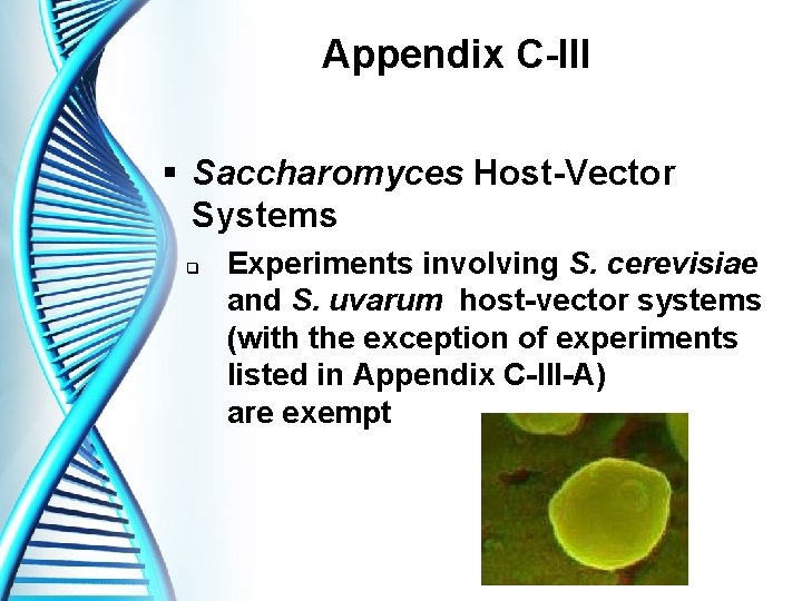 Appendix C-III § Saccharomyces Host-Vector Systems q Experiments involving S. cerevisiae and S. uvarum