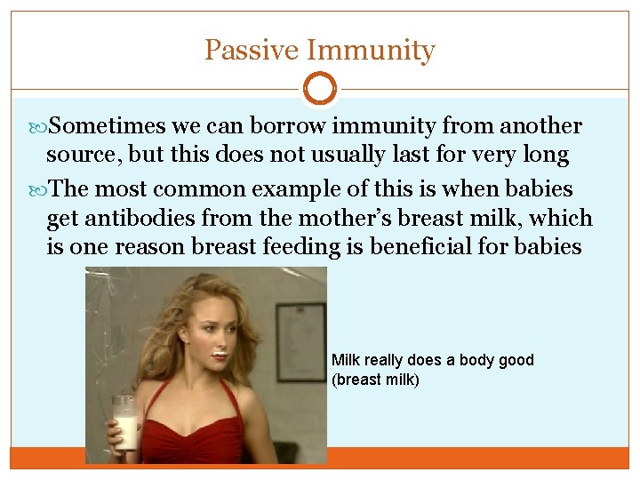 Passive Immunity Sometimes we can borrow immunity from another source, but this does not