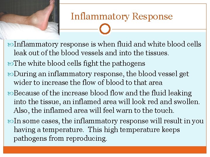 Inflammatory Response Inflammatory response is when fluid and white blood cells leak out of