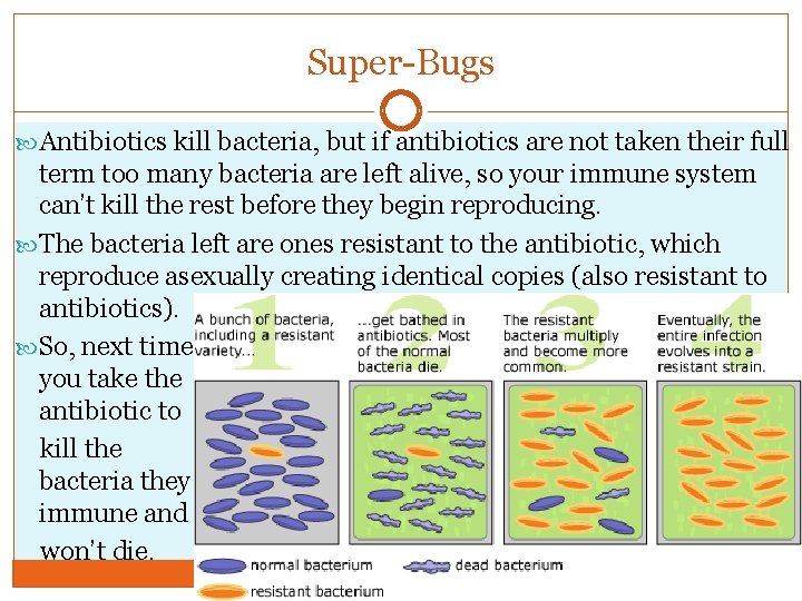 Super-Bugs Antibiotics kill bacteria, but if antibiotics are not taken their full term too