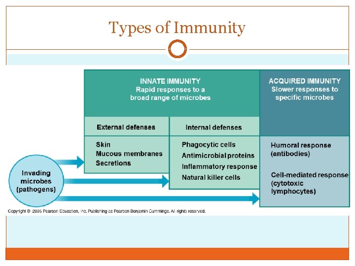 Types of Immunity 