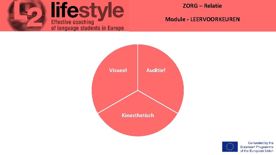 ZORG – Relatie Module - LEERVOORKEUREN Visueel Auditief Kinesthetisch 