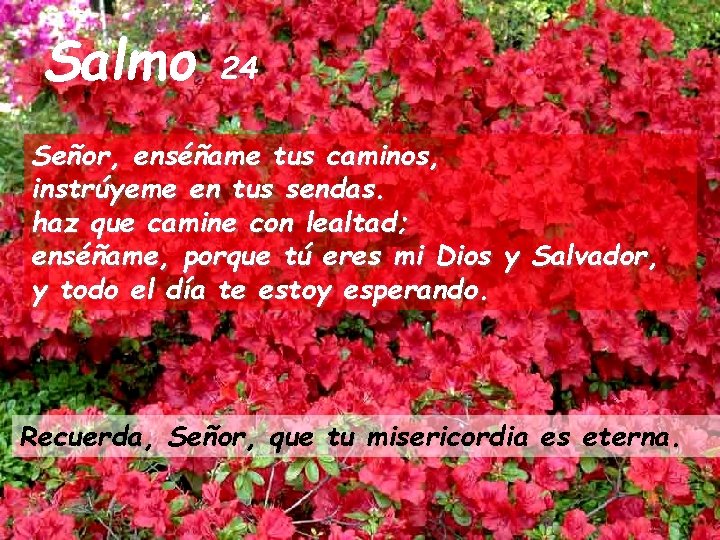 Salmo 24 Señor, enséñame tus caminos, instrúyeme en tus sendas. haz que camine con